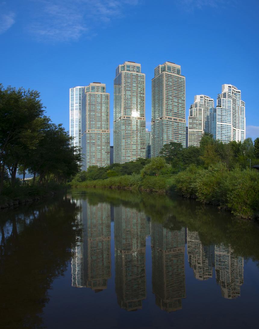 2017년 강남구 사진공모전 출품작(양재천) - 7