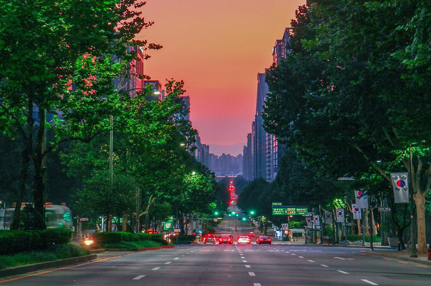 2018년 강남구 사진공모전 출품작 - 5