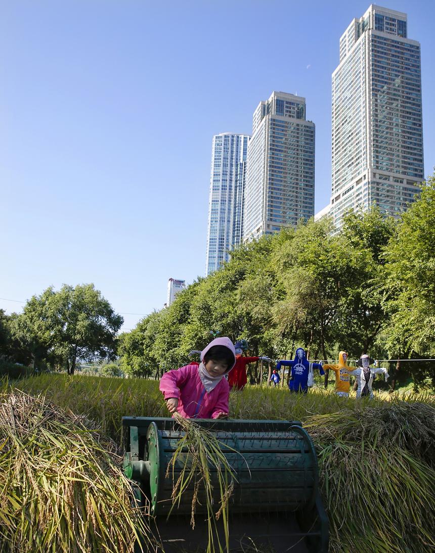 2017년 강남구 사진공모전 출품작(양재천) - 13