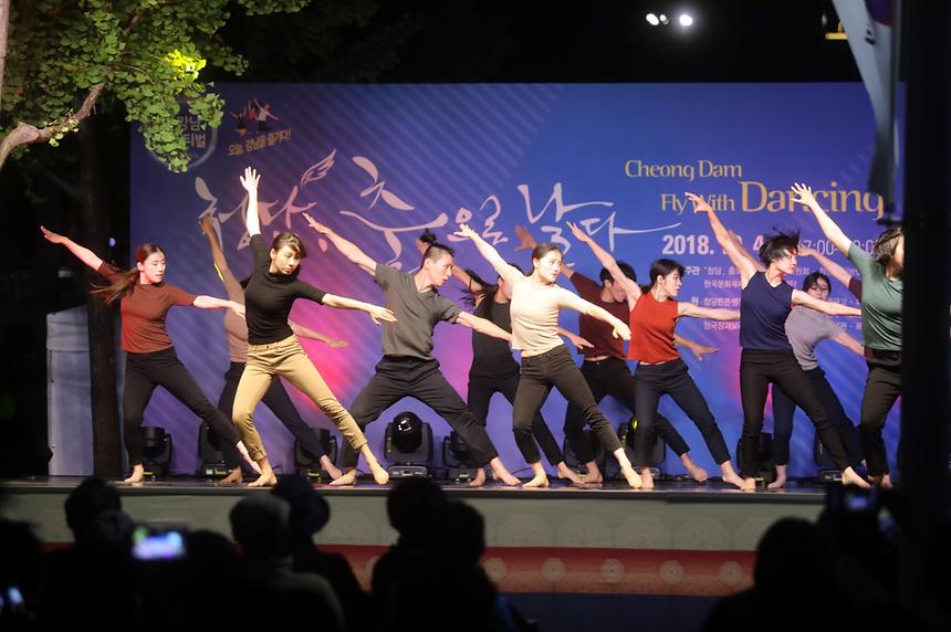 2018년 강남구 사진공모전 출품작-축제 - 11