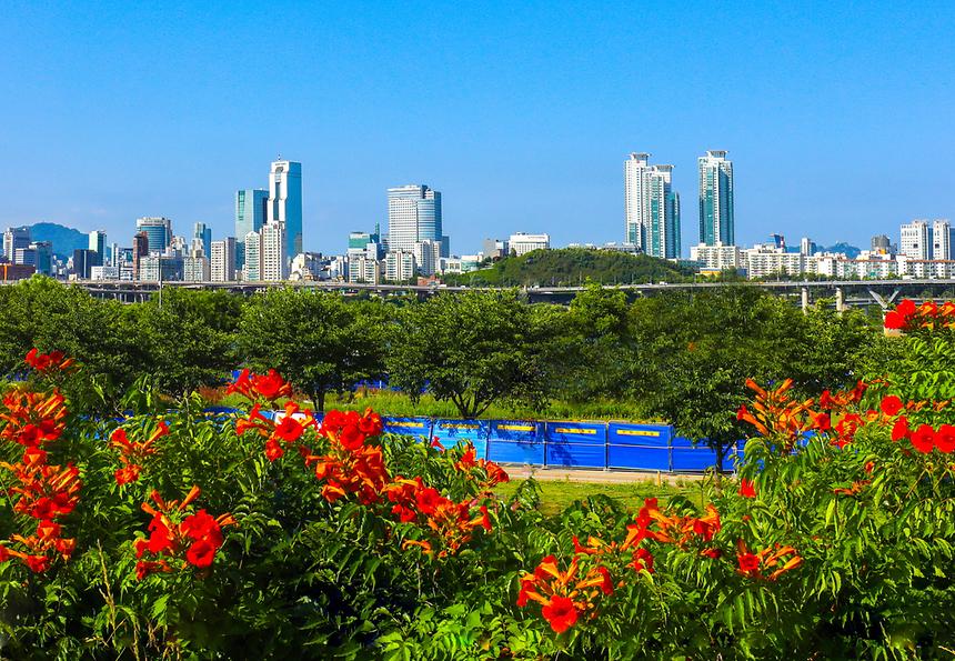 2019년 강남구 사진공모전 수상작-2 - 4