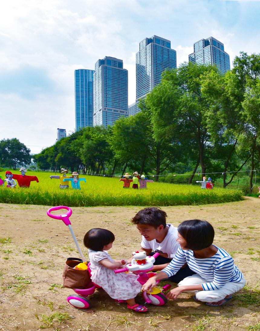 2017년 강남구 사진공모전 출품작(양재천) - 6