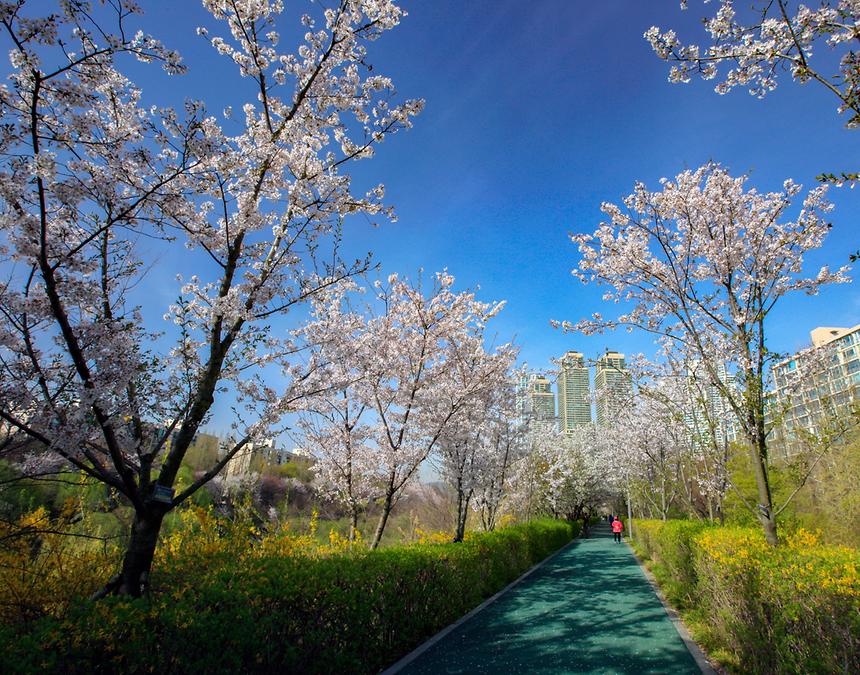 2017년 강남구 사진공모전 출품작(양재천) - 3