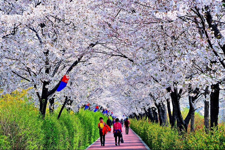 2014년 강남구 사진공모전(양재천) - 1