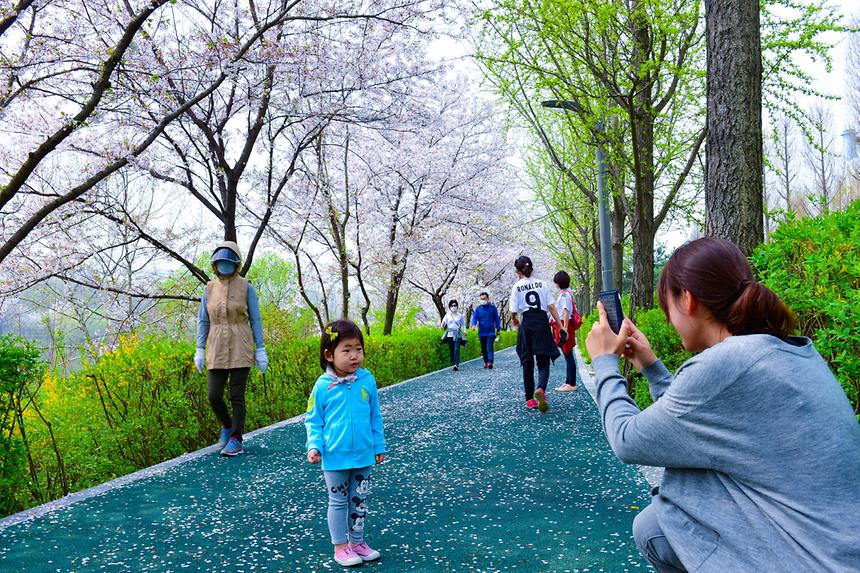 2016 강남구 사진공모전(양재천) - 8