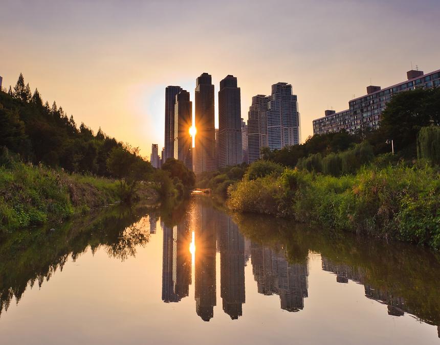 2015년 강남구 사진공모전(양재천 봄, 여름) - 7