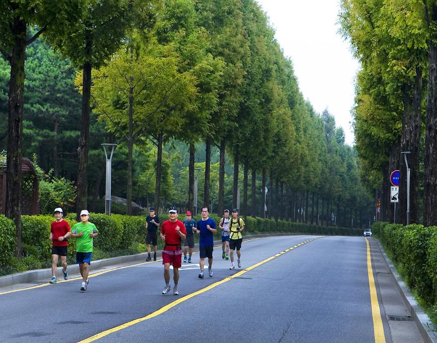 2015년 강남구 사진공모전(양재천 봄, 여름) - 8