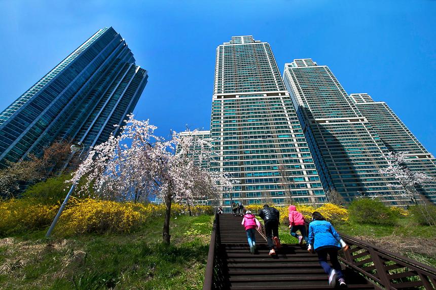 2013년 강남구 사진공모전(양재천) - 1