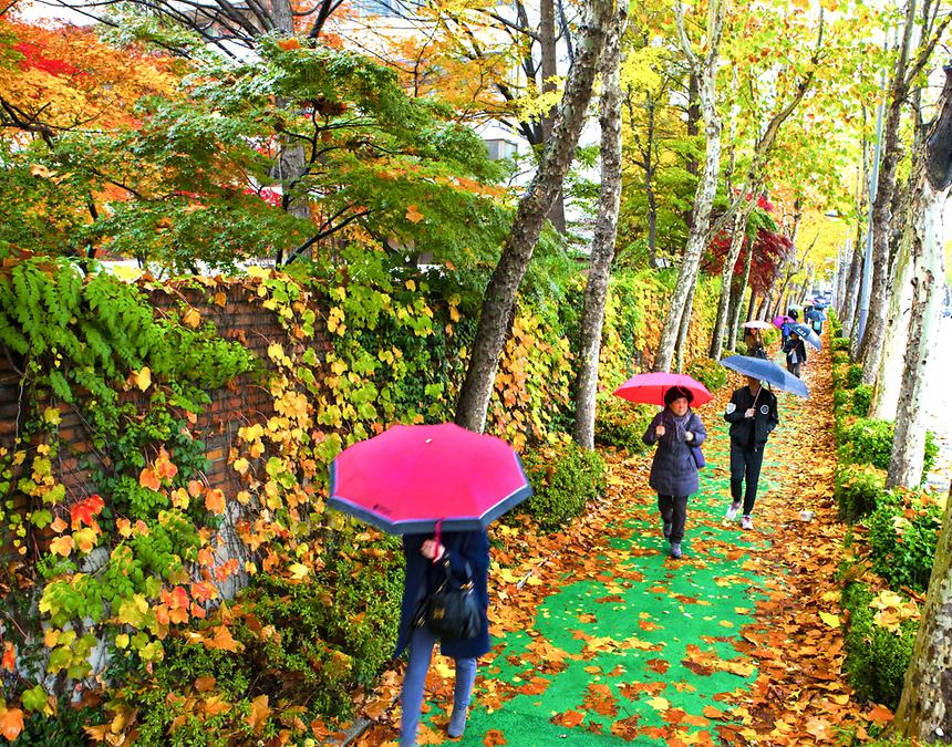 2016 강남구 사진공모전 출품작 - 1