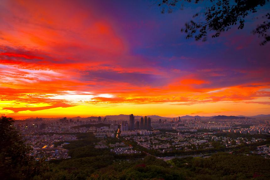 2014년 강남구 사진공모전 출품작 - 9