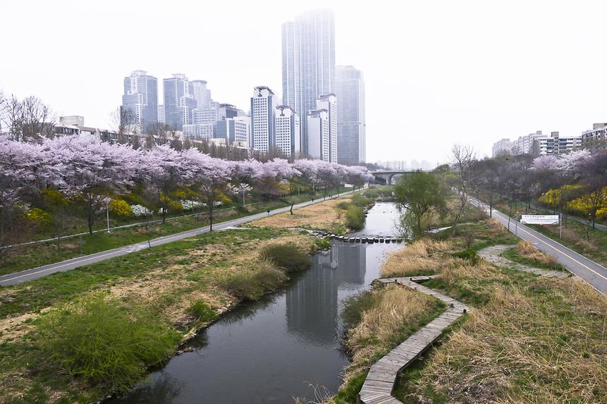 2016 강남구 사진공모전(양재천) - 3