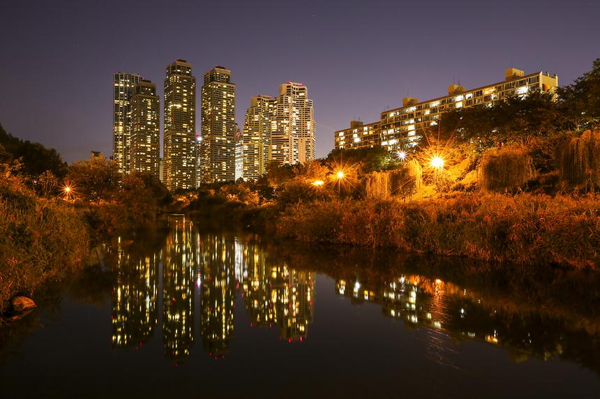 2014년 강남구 사진공모전(양재천) - 7