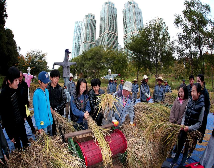 2015년 강남구 사진공모전(양재천 가을, 겨울) - 1