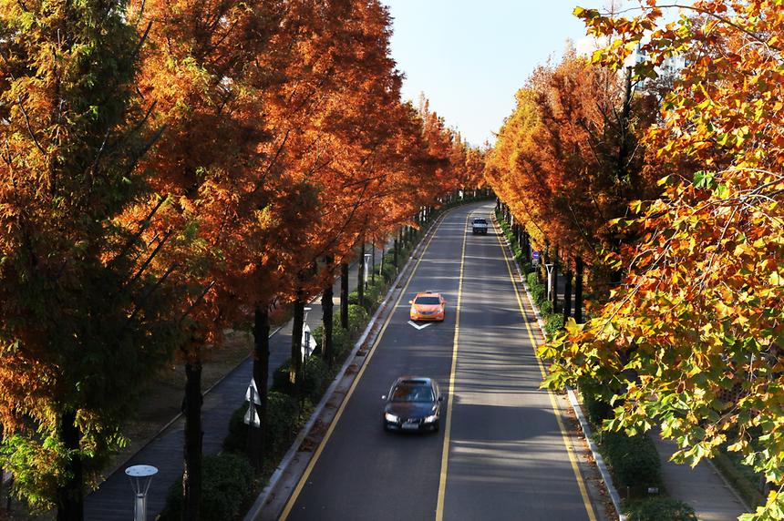 2013년 강남구 사진공모전(양재천) - 5