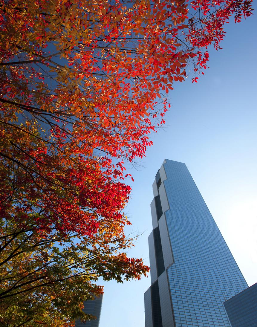 2013년 강남구 사진공모전(영동대로, 코엑스) - 4