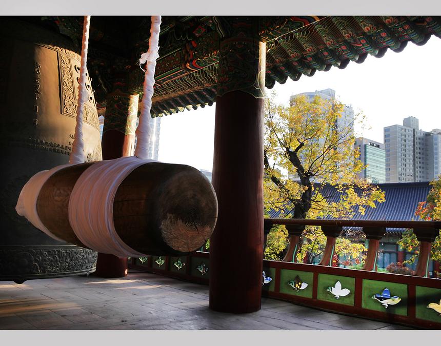 2015년 강남구 사진공모전(봉은사, 선정릉) - 7