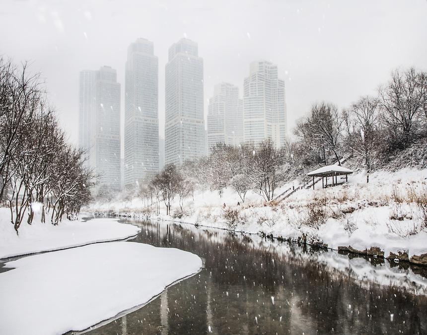 2015년 강남구 사진공모전(양재천 가을, 겨울) - 8