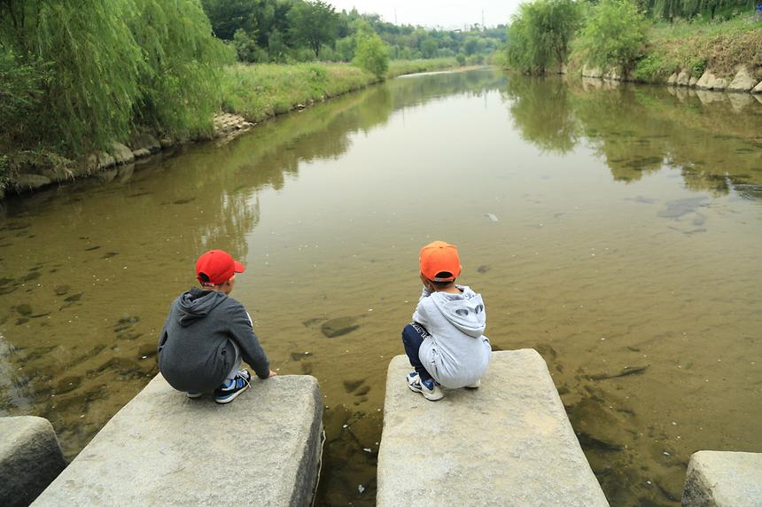2013년 강남구 사진공모전(양재천) - 9