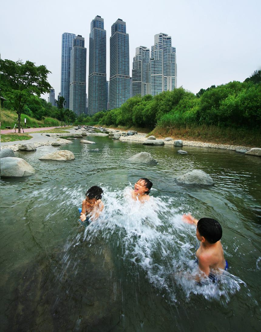 2015년 강남구 사진공모전(양재천 봄, 여름) - 5