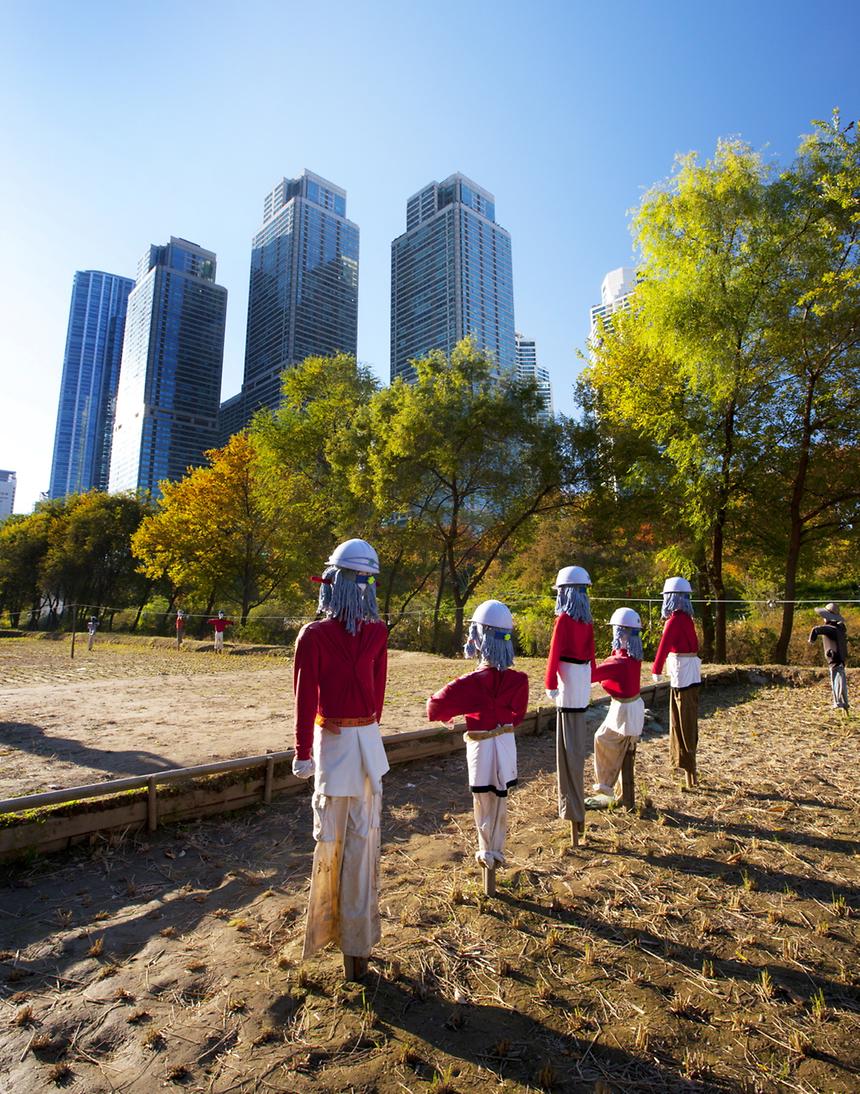 2014년 강남구 사진공모전(양재천) - 6