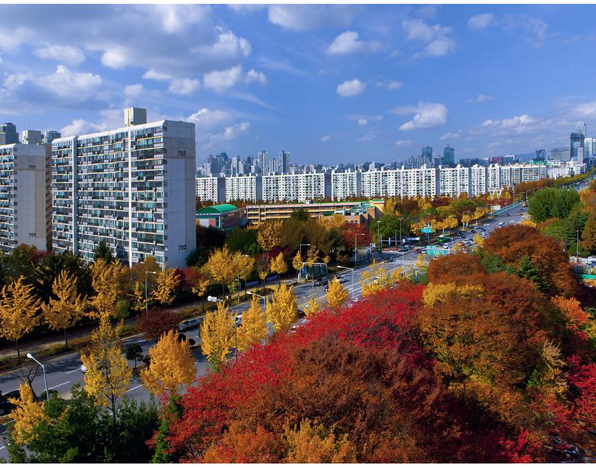 2017년 강남구 사진공모전 출품작 - 3