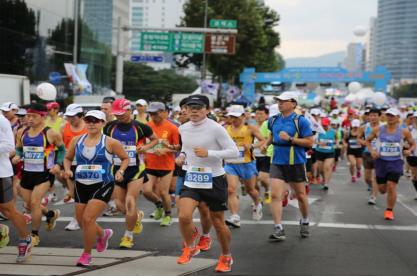 2014년 강남구 사진공모전(축제) - 3