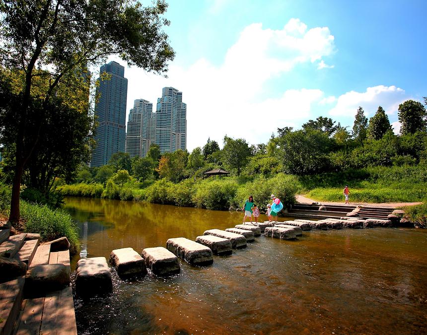 2015년 강남구 사진공모전(양재천 봄, 여름) - 4