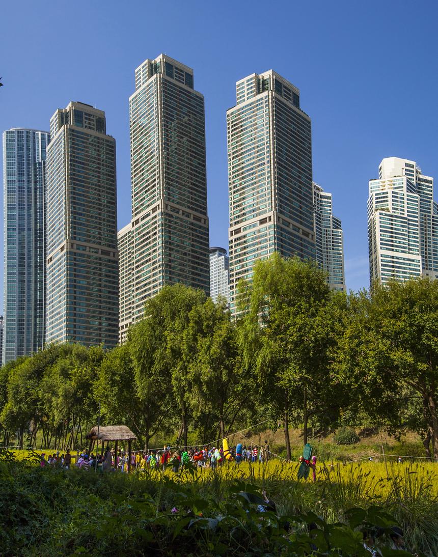 2016 강남구 사진공모전(양재천) - 6