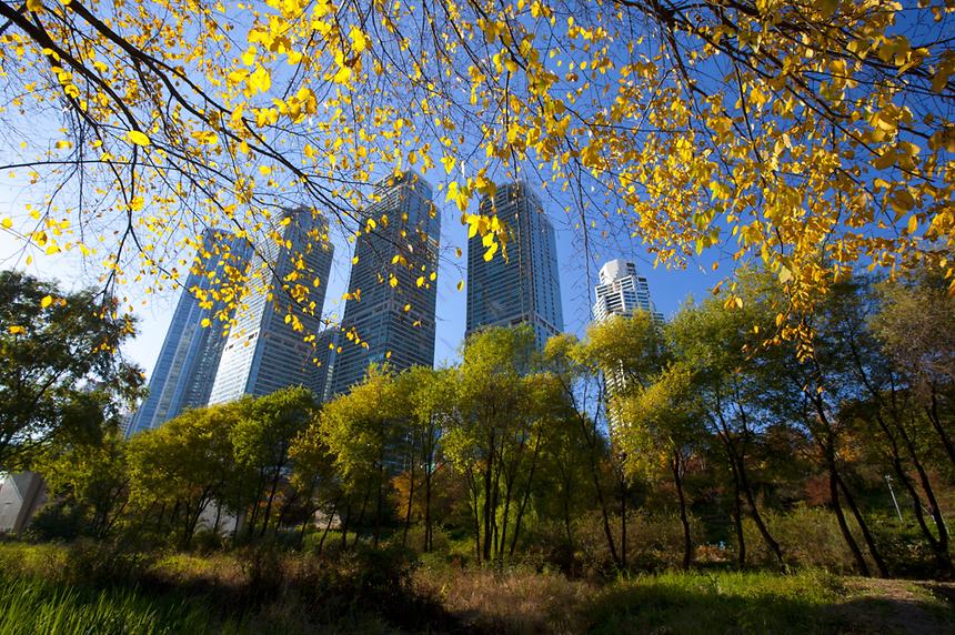 2014년 강남구 사진공모전(양재천) - 2