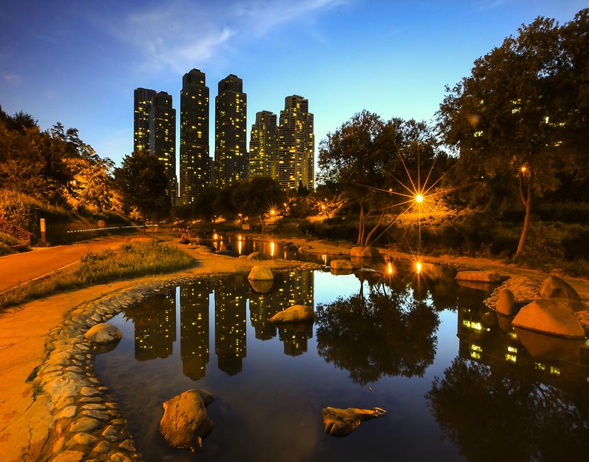 2015년 강남구 사진공모전(양재천 가을, 겨울) - 4