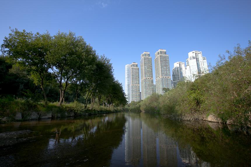 2014년 강남구 사진공모전(양재천) - 5