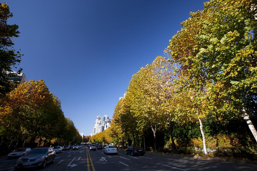 2014년 강남구 사진공모전 출품작 - 3