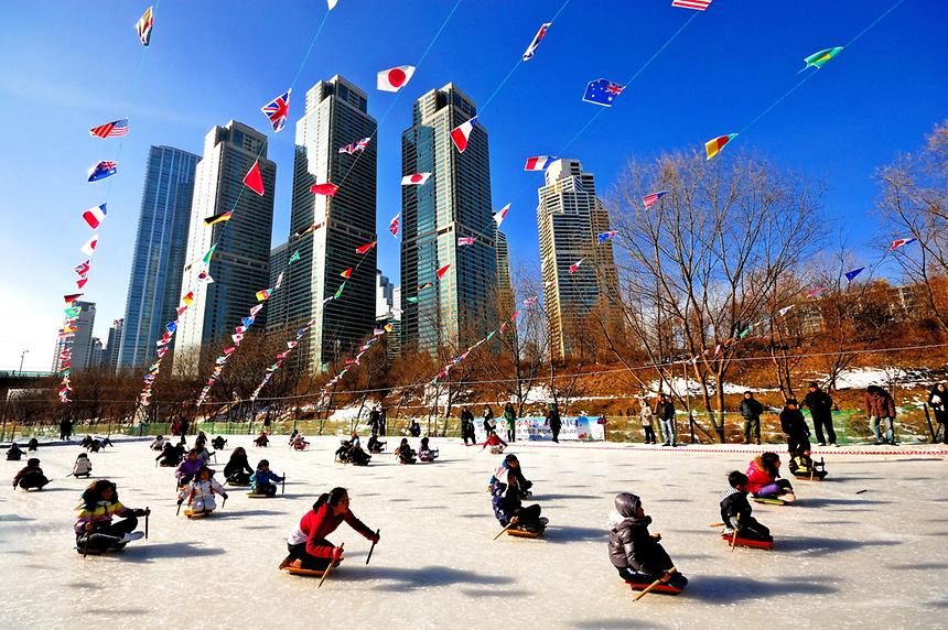 2014년 강남구 사진공모전(양재천) - 8