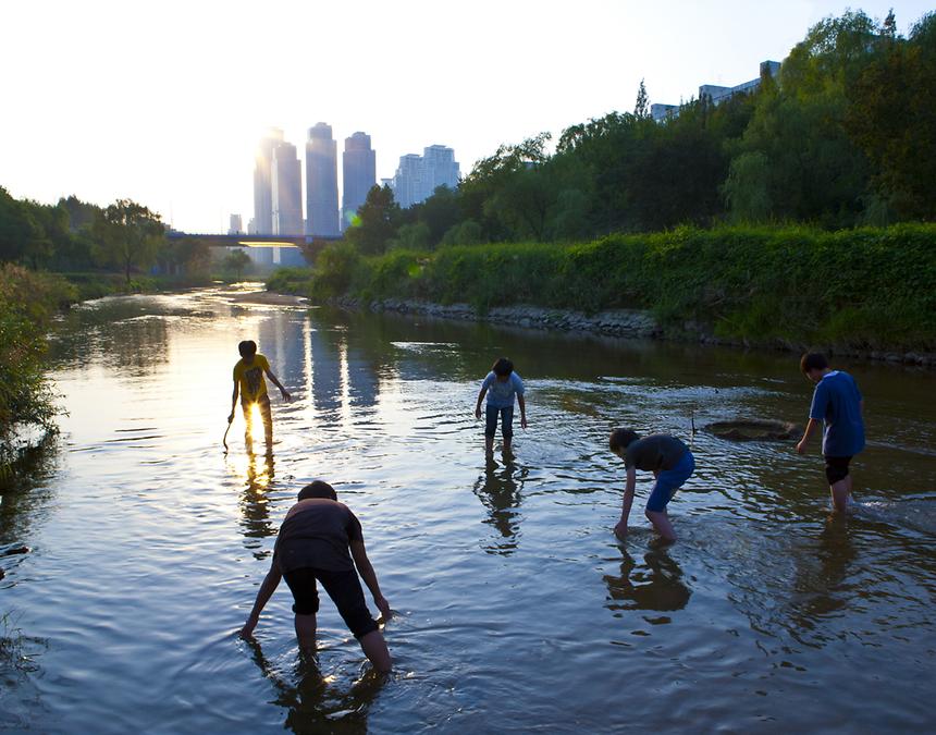2015년 강남구 사진공모전(양재천 봄, 여름) - 6
