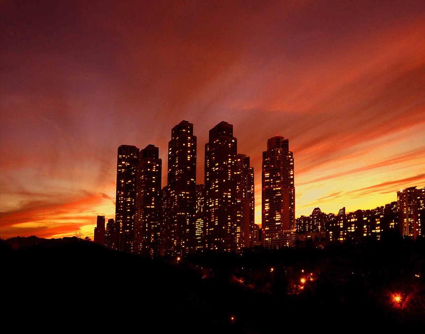 2017년 강남구 사진공모전 출품작 - 2