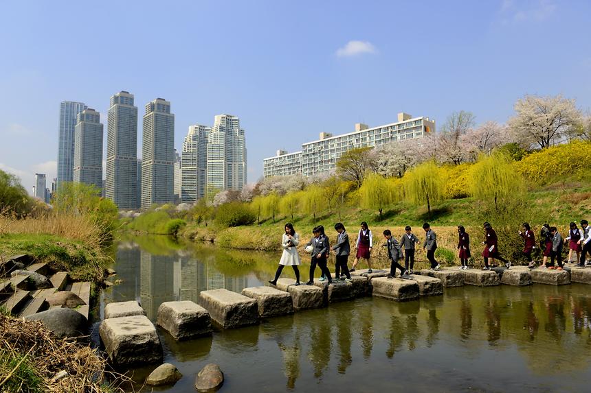 2016 강남구 사진공모전(양재천) - 10