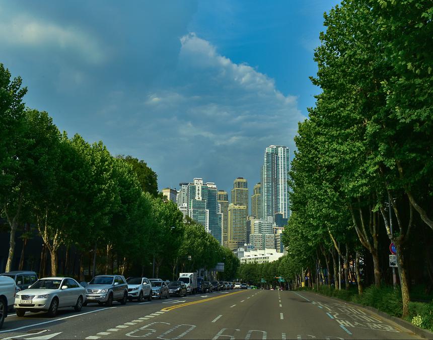 2017년 강남구 사진공모전 출품작 - 10