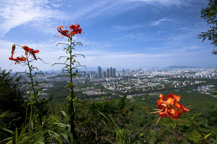 2014년 강남구 사진공모전 출품작 - 5