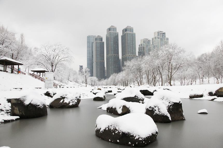 2013년 강남구 사진공모전(양재천) - 8
