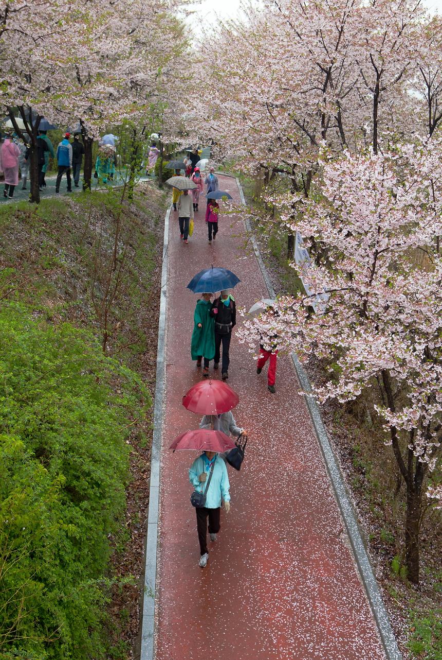 2013년 강남구 사진공모전(양재천) - 2