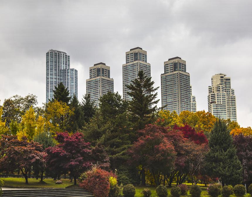 2016 강남구 사진공모전 출품작 - 3