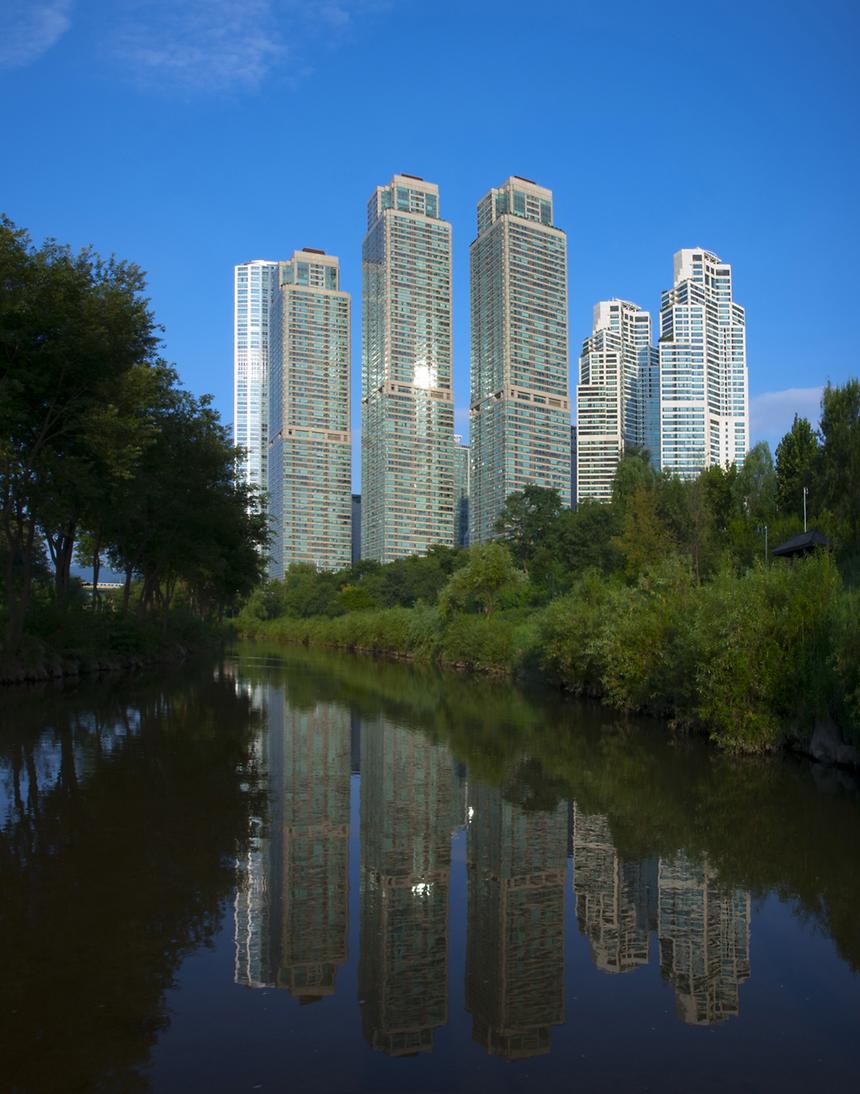 2015년 강남구 사진공모전(양재천 봄, 여름) - 9