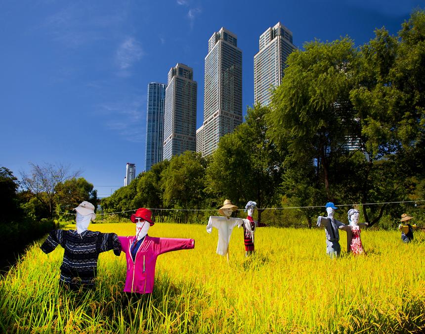 2015년 강남구 사진공모전(양재천 가을, 겨울) - 2