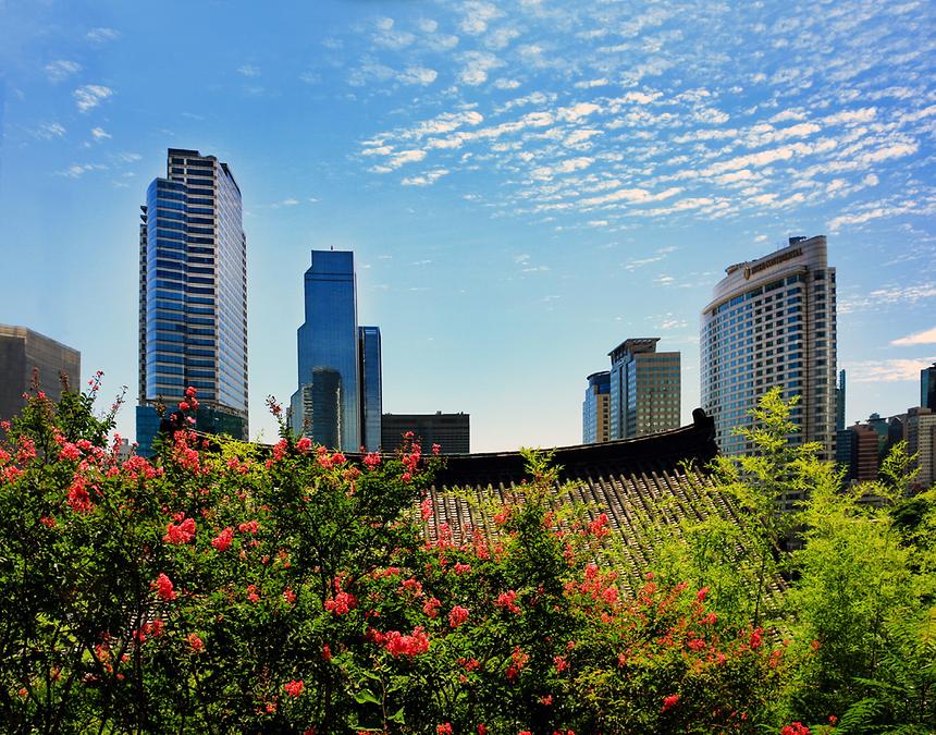 2016 강남구 사진공모전(봉은사, 선정릉) - 4