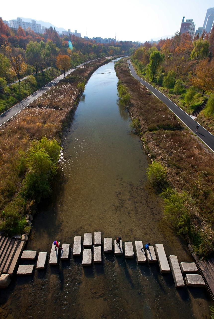 2013년 강남구 사진공모전(양재천) - 6