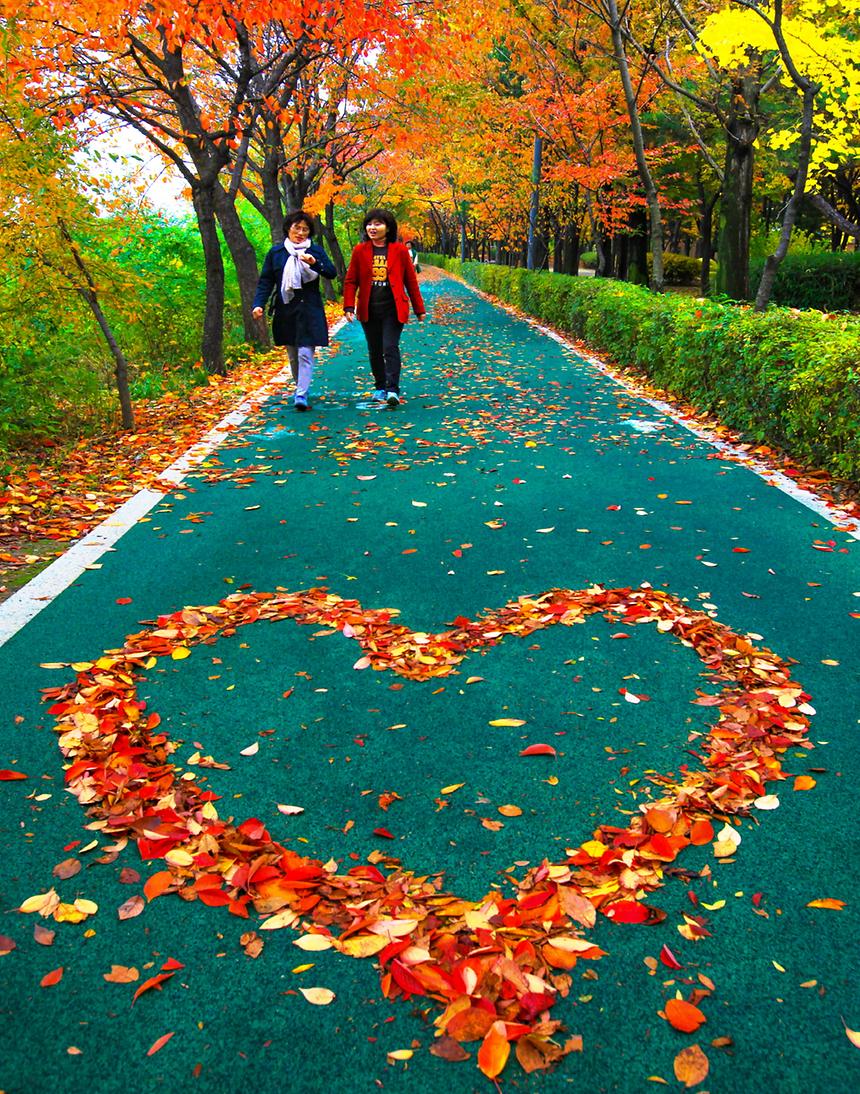 2016 강남구 사진공모전(양재천) - 5