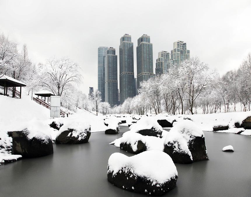 2015년 강남구 사진공모전(양재천 가을, 겨울) - 9