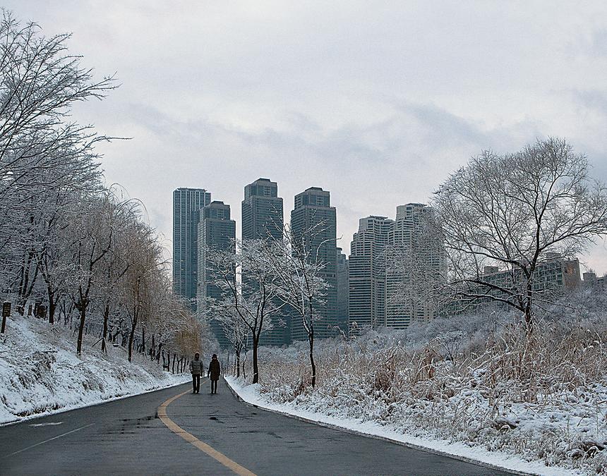 2017년 강남구 사진공모전 출품작 - 4