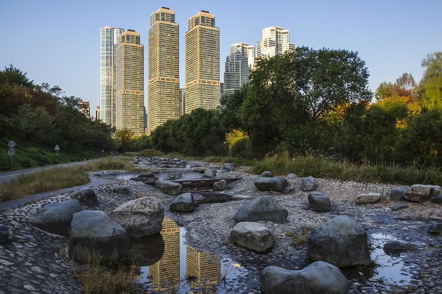 2016 강남구 사진공모전(양재천) - 7
