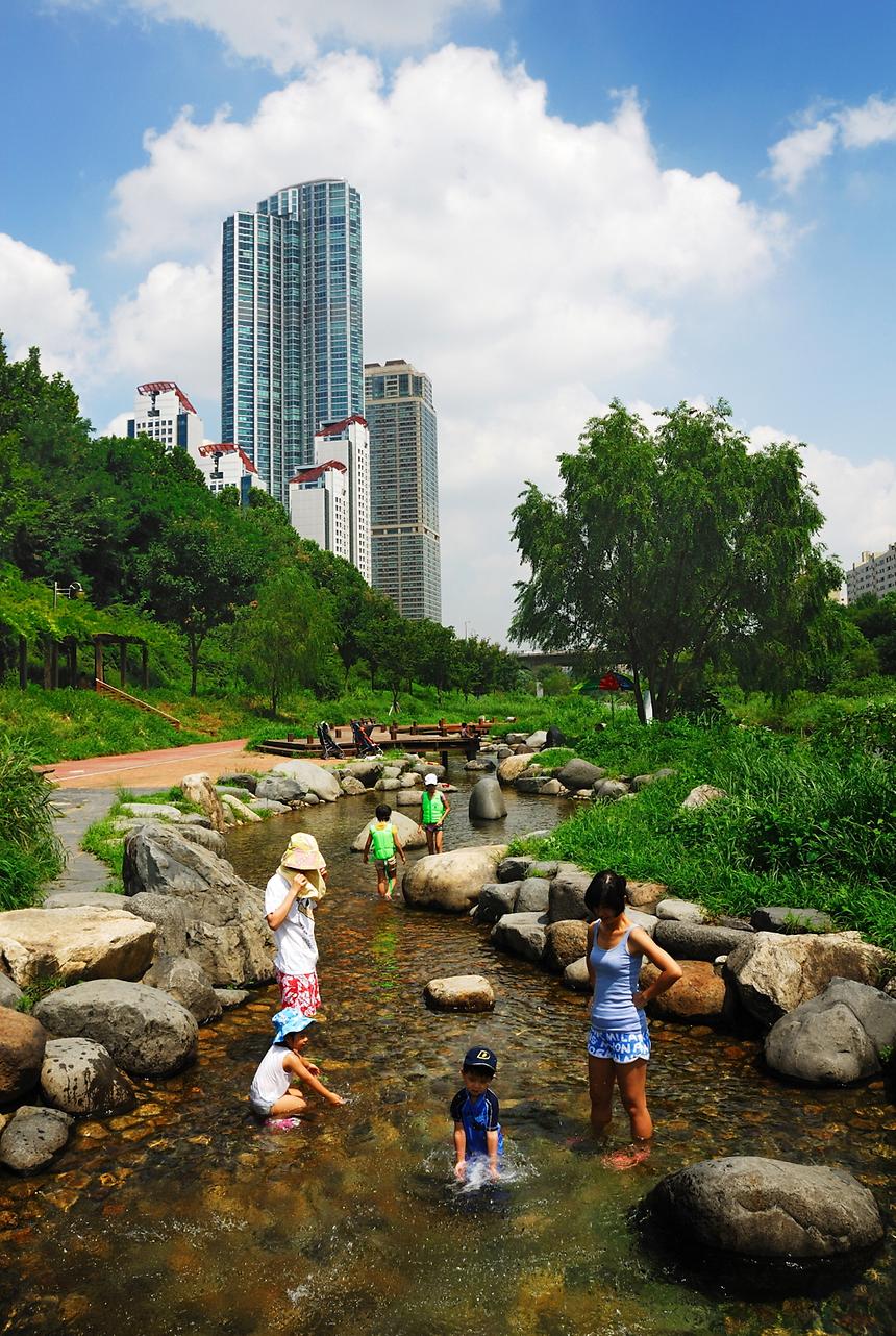 2013년 강남구 사진공모전(양재천) - 4